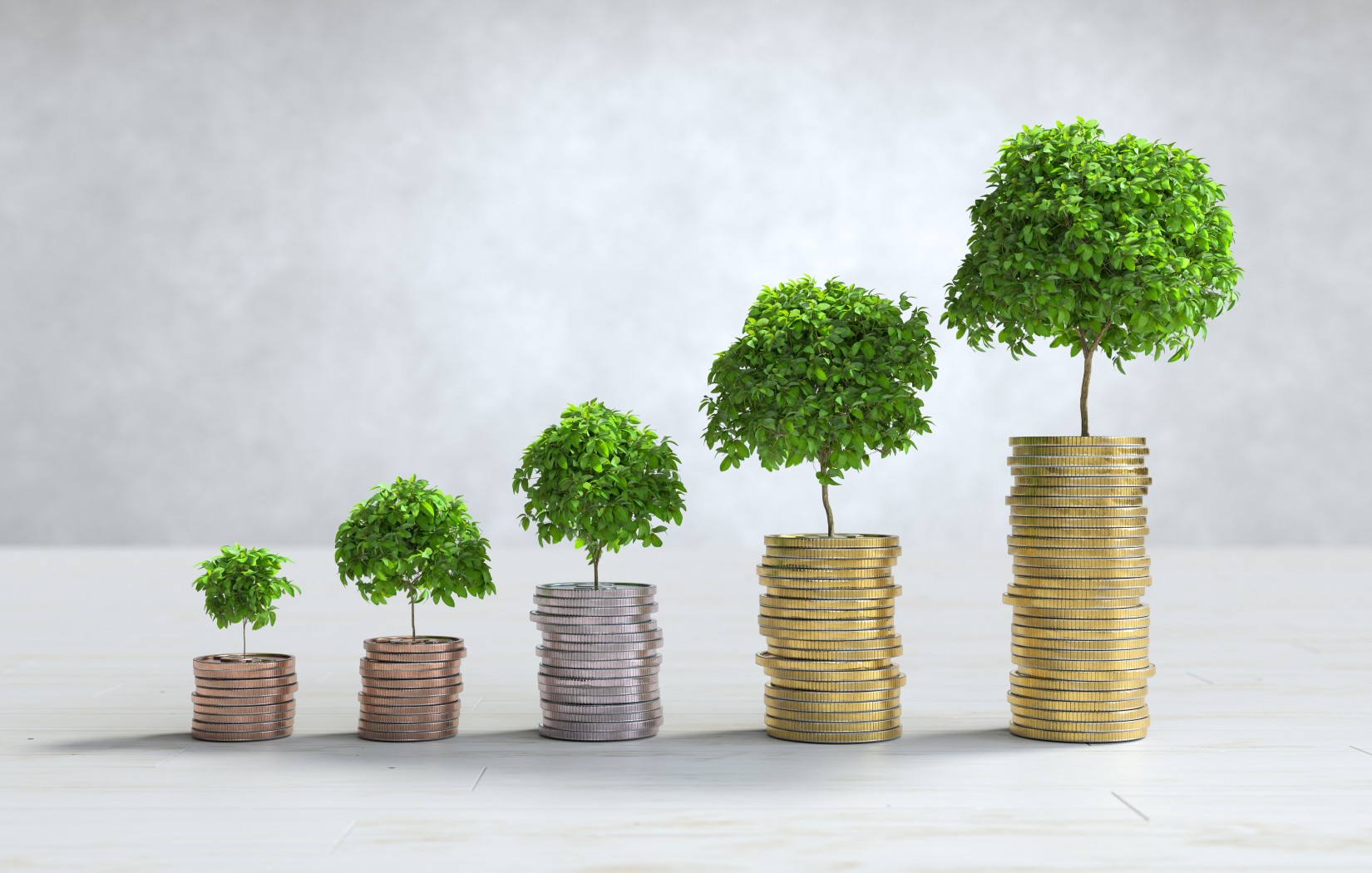 budget and money planning and planting